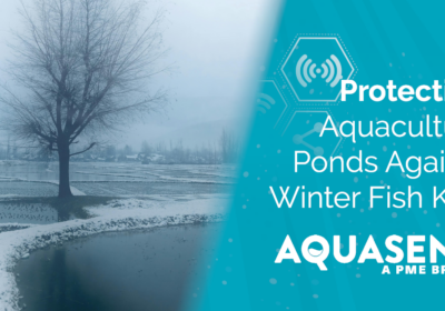 Graphic of snowy lake and tree with "Protecting Aquaculture Ponds Against Winter Fish Kills" in white text