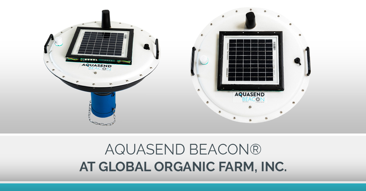 Beacon at Global Organic Farm Graphic