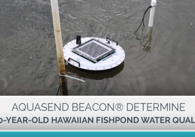 Aquasend Beacon in Hawaiian fishpond Blog