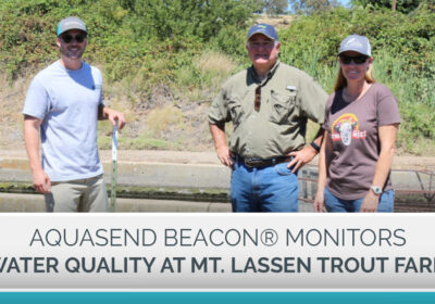 Mt. Lassen Trout Farm Blog