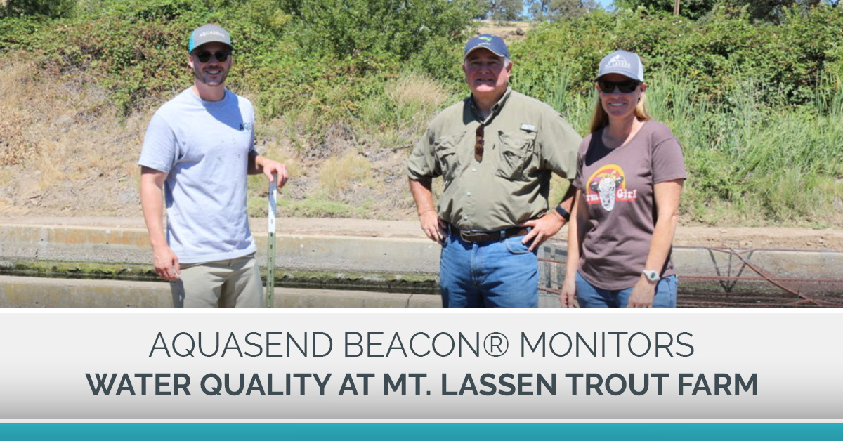 Mt. Lassen Trout Farm Blog