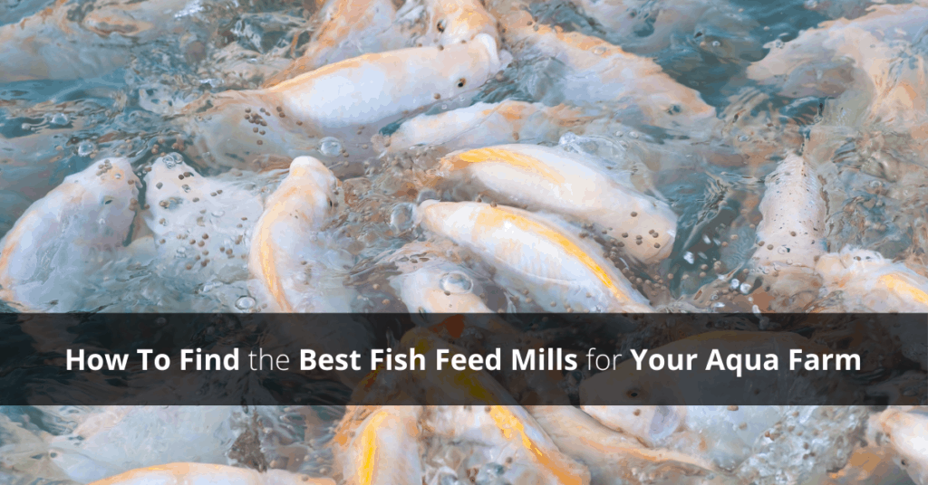 Best Fish Feed Mills