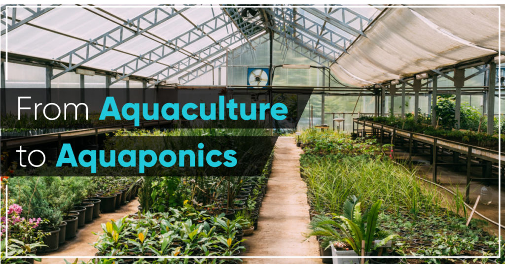 Aquaculture to Aquaponics