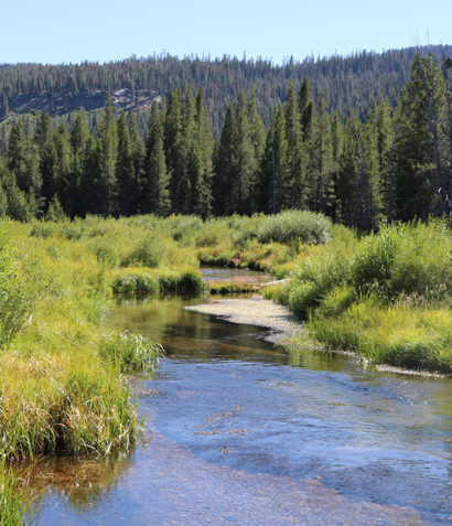 Water Stream in Mt. Lassen