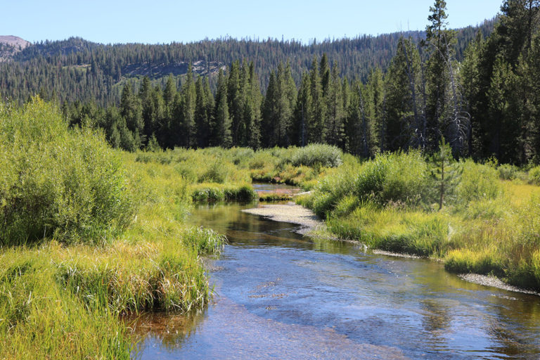 Water Stream in Mt. Lassen