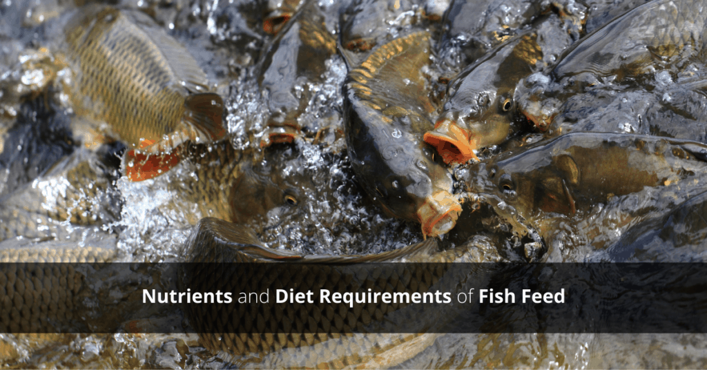 Fish Feed Nutrients and Diet