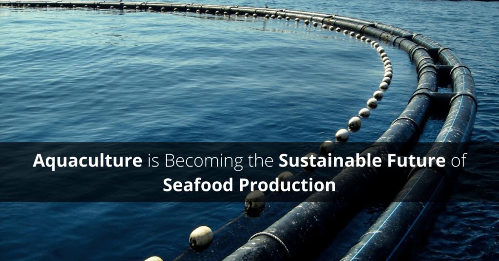 Aquaculture becoming Sustainable-Future