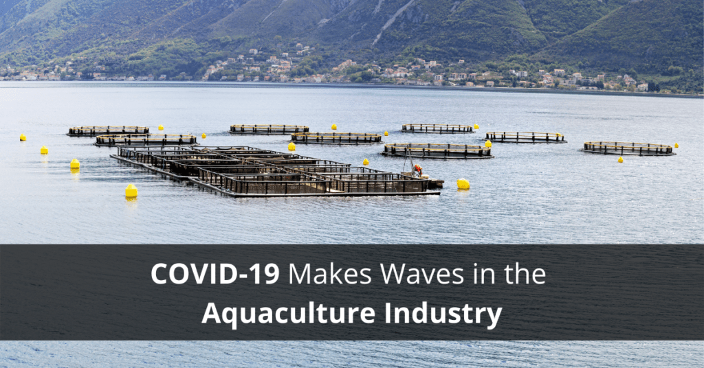 Covid-19 and Aquaculture