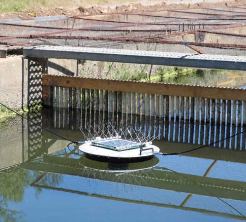 Aquasend Beacon in water